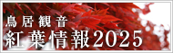紅葉情報2025