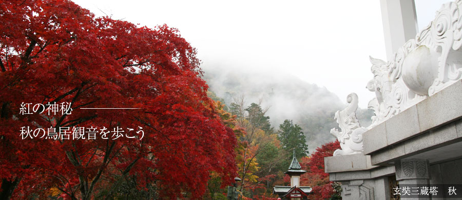 紅の神秘　秋の鳥居観音を歩こう