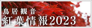 紅葉情報2023